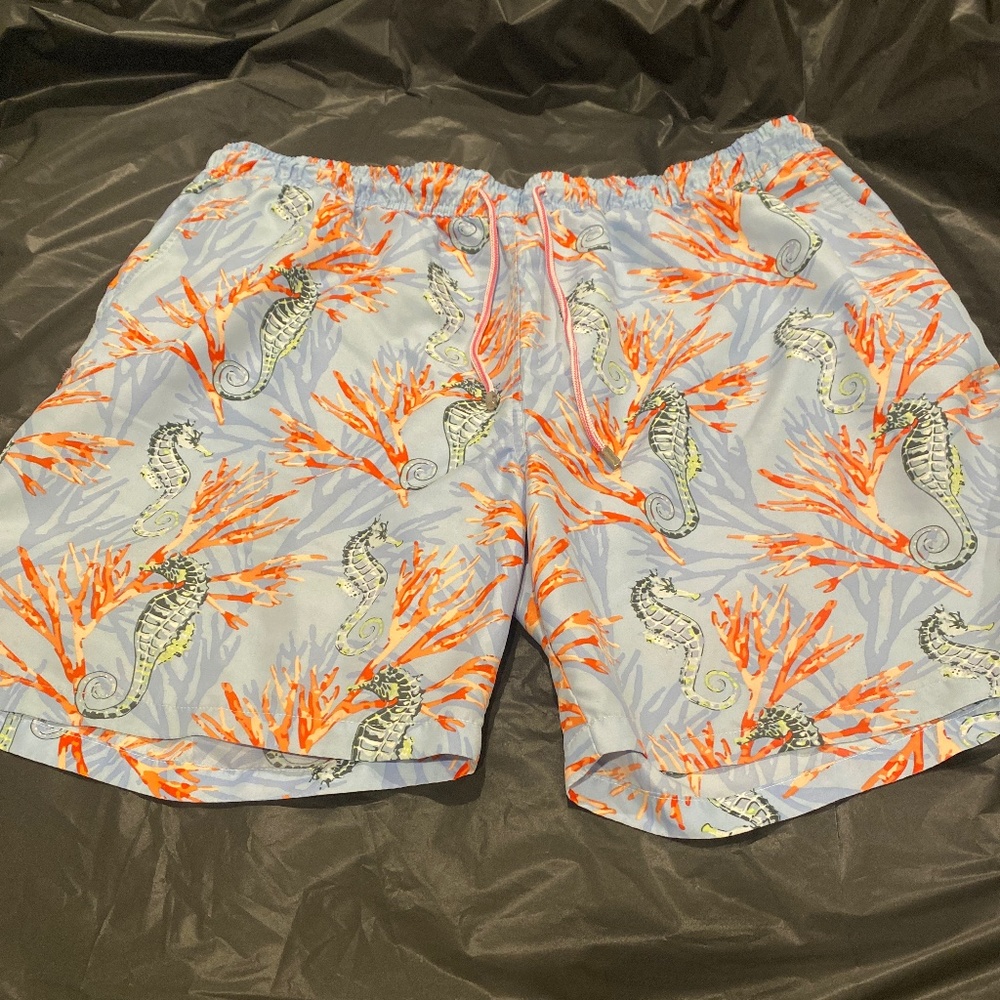 Men’s bathing suit.